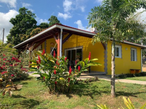 Location villa et piscine privé